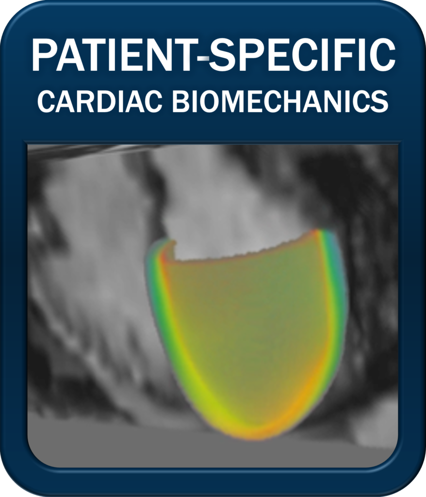 patient-specific cardiac biomechanics
